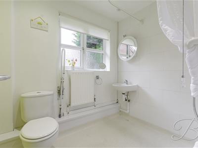 Picture 17